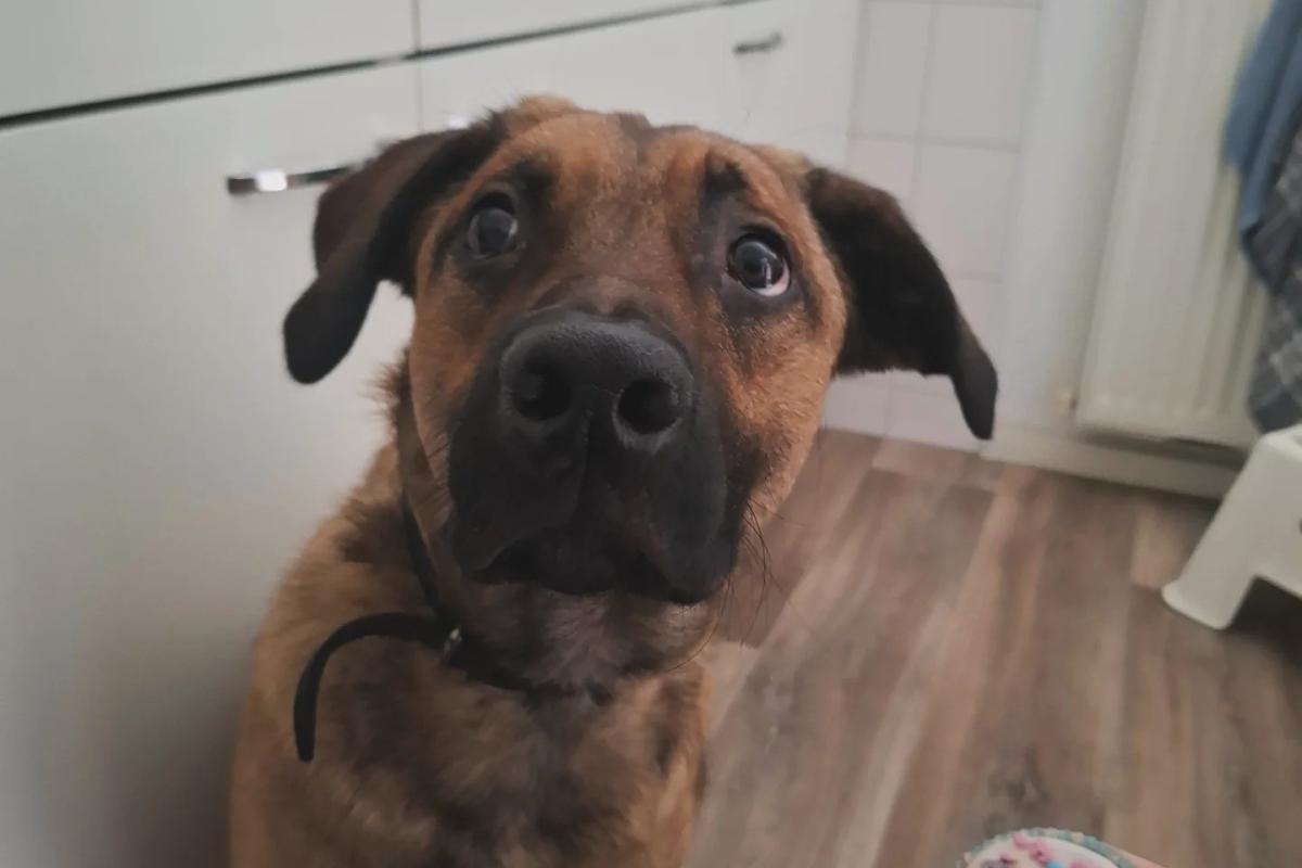 Marley