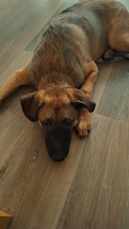 Marley