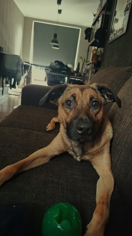 Marley