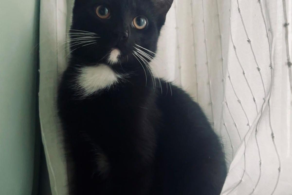 Pepa