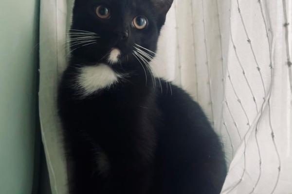 Pepa