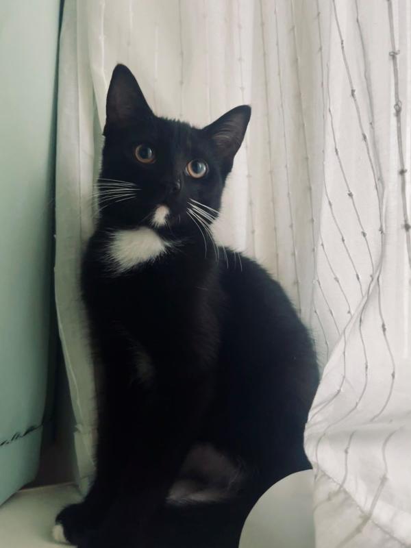 Pepa