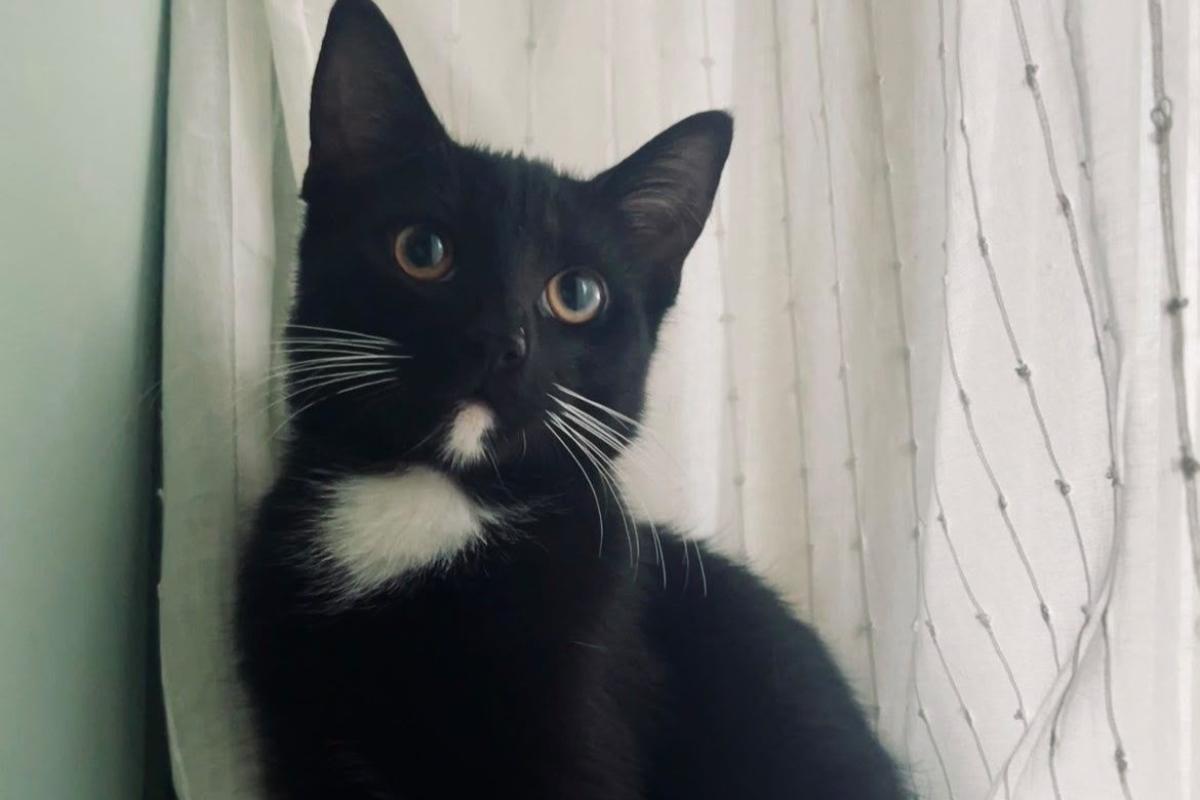 Pepa