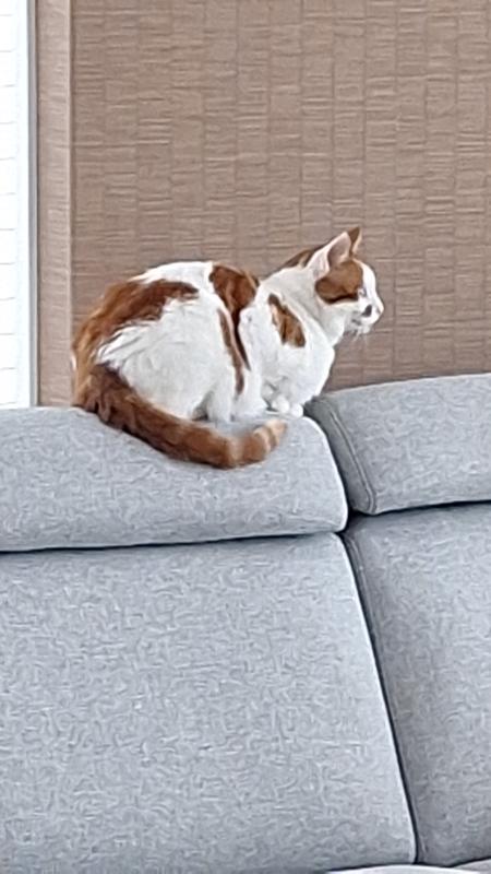 King