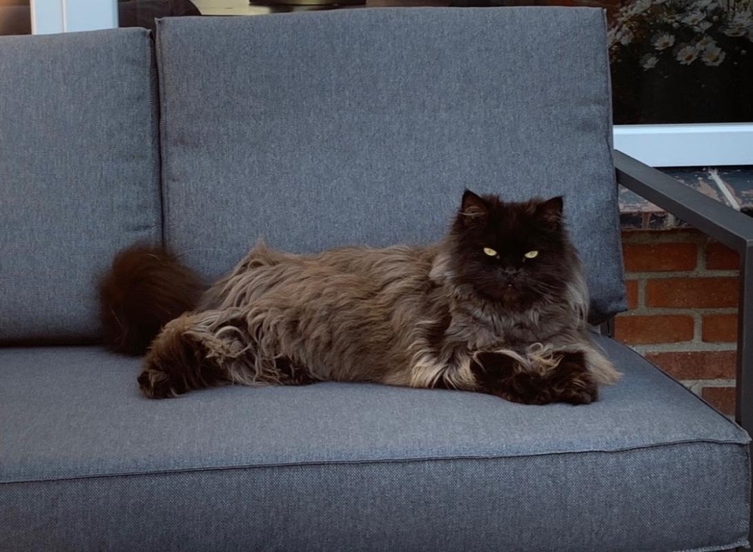 Coco