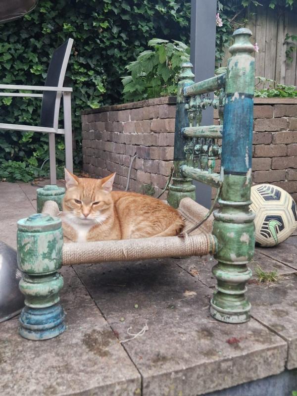 Garfield