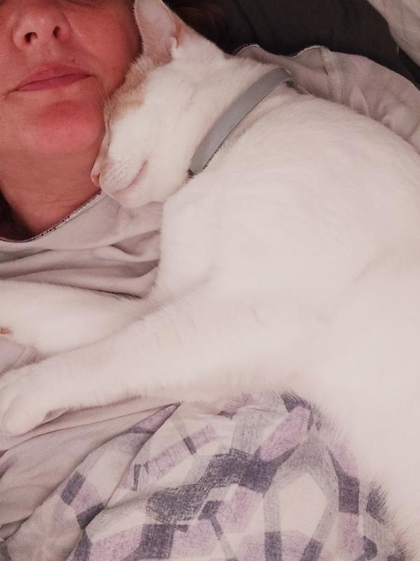 Simba