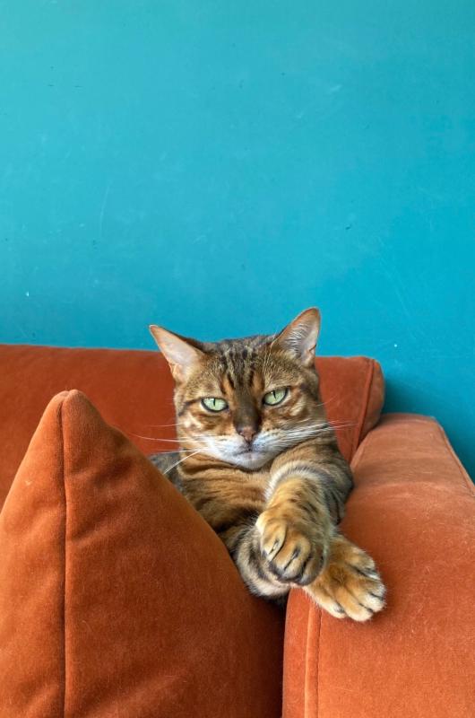 Mimi