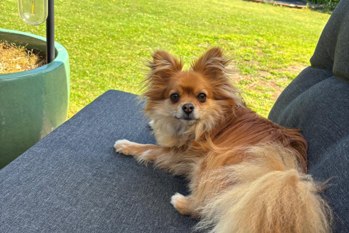Coco
