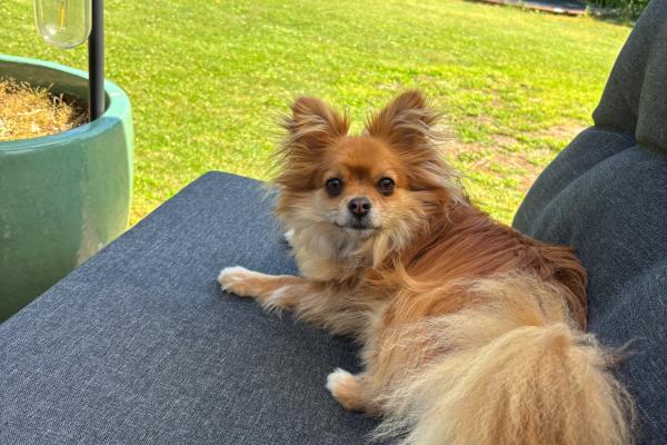 Coco