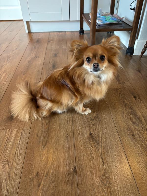 Coco