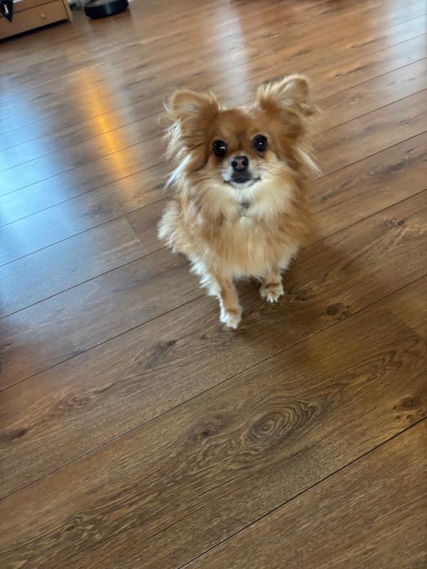 Coco