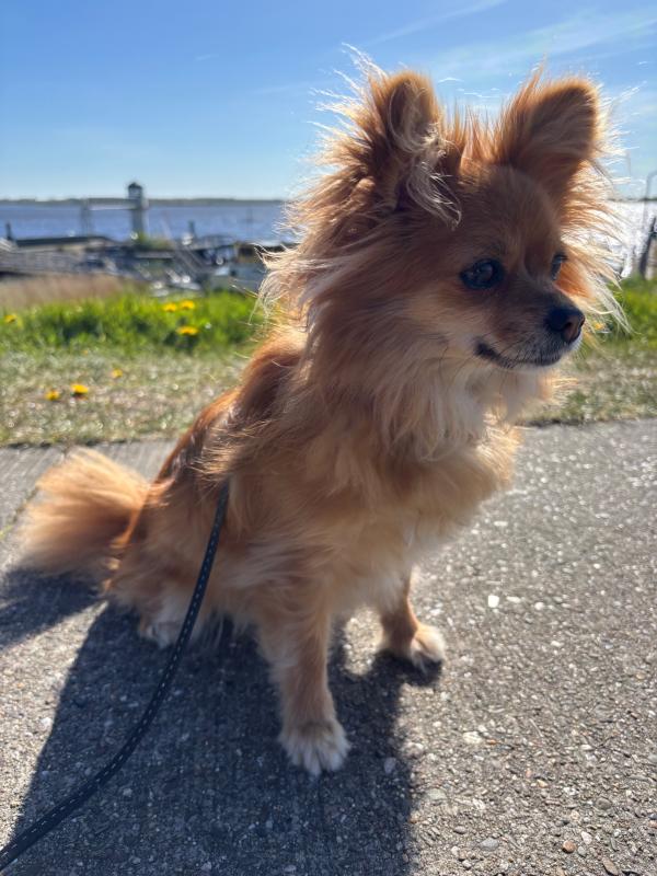 Coco