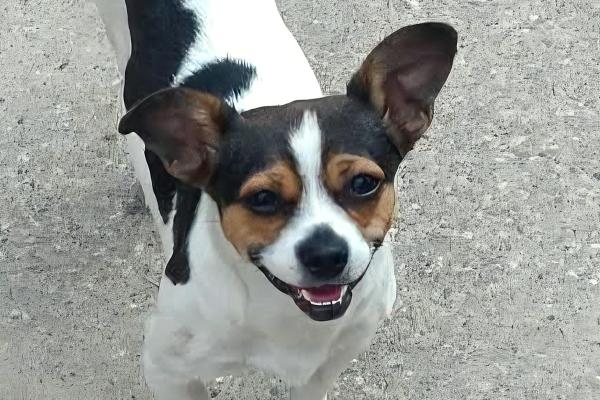 Marley