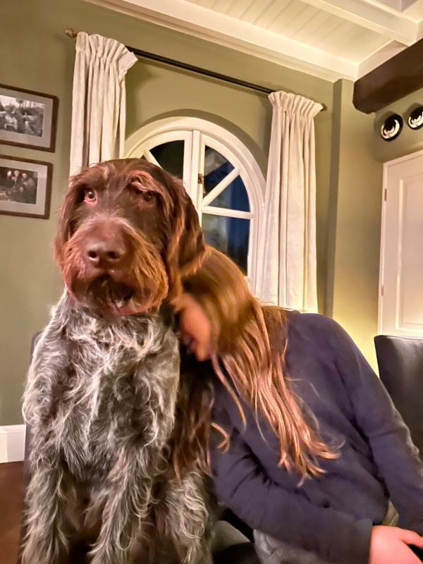 Hessel