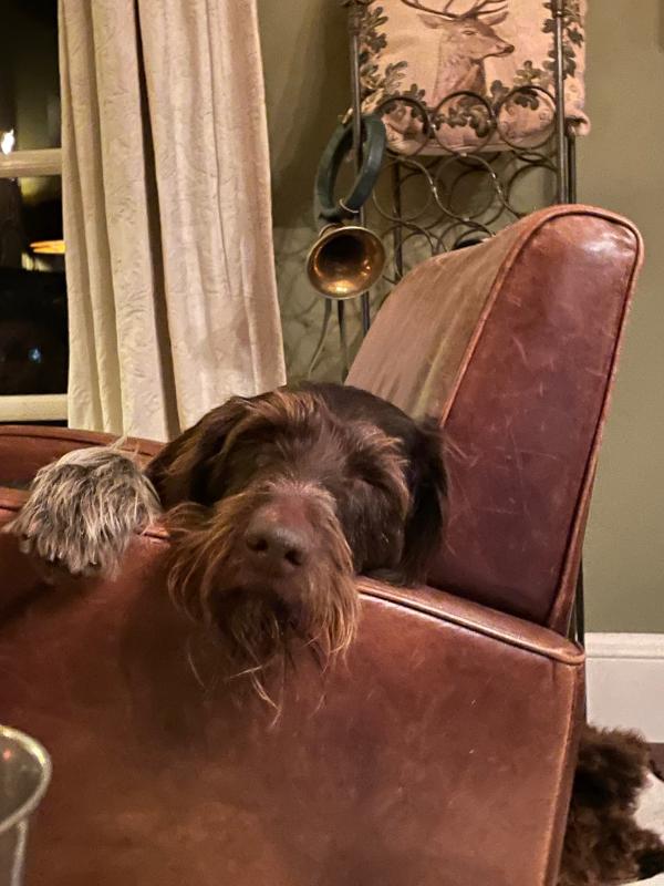 Hessel