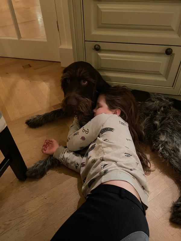 Hessel