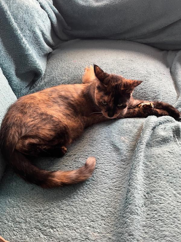 Donna