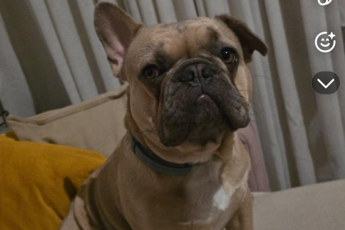 Gozer