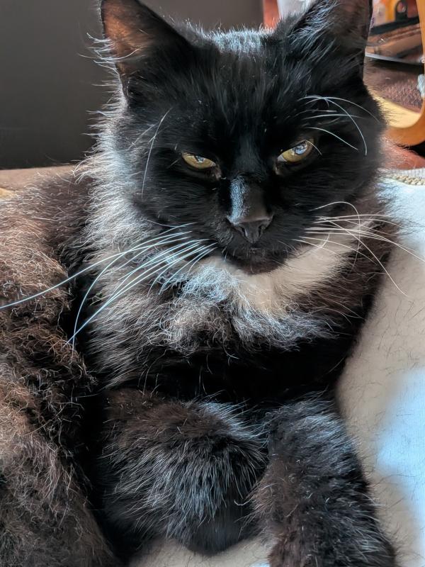 Fluffy