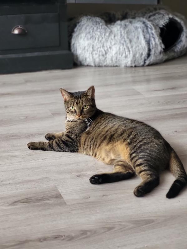 Pip