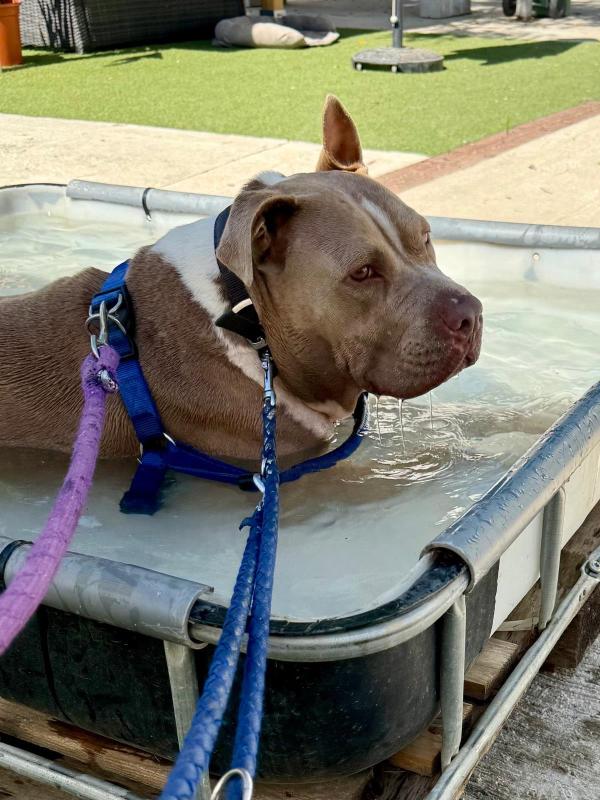 Storm