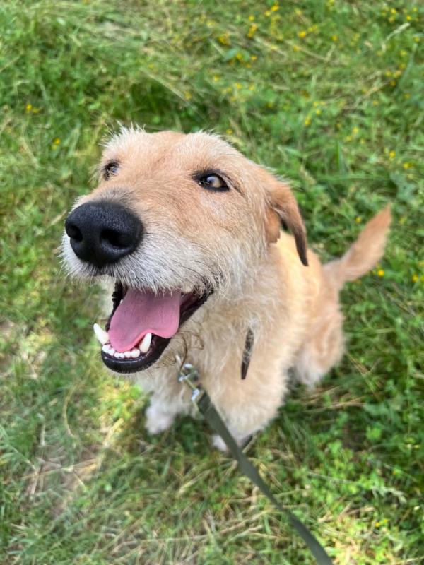 Benny