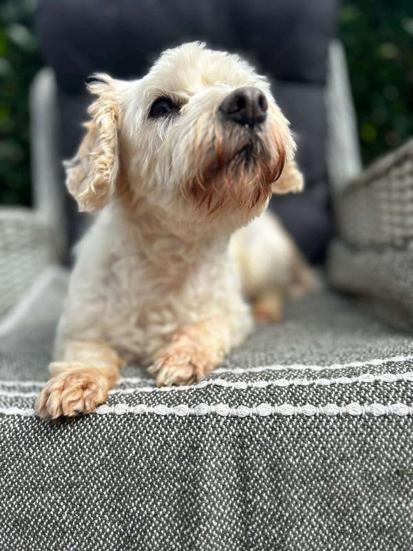 Lola