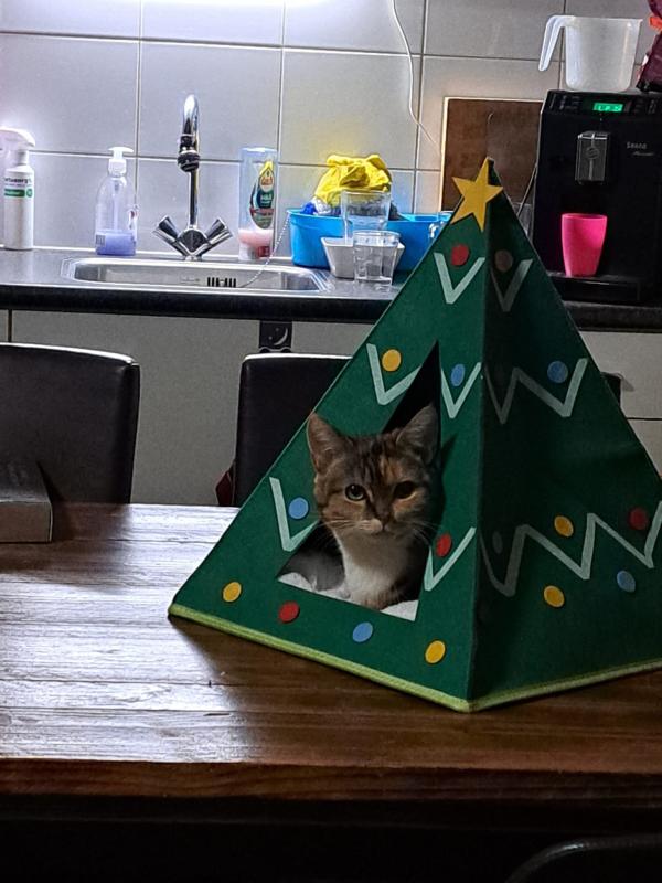 Tiara