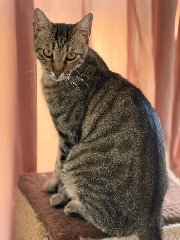 Mercury