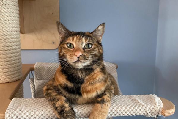 Mimi