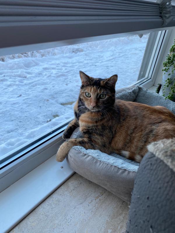 Mimi