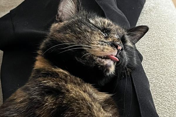 Suki (alias Miep)