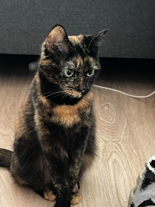 Suki (alias Miep)