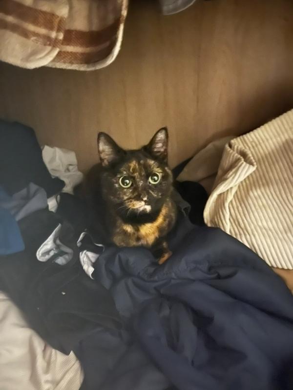 Suki (alias Miep)