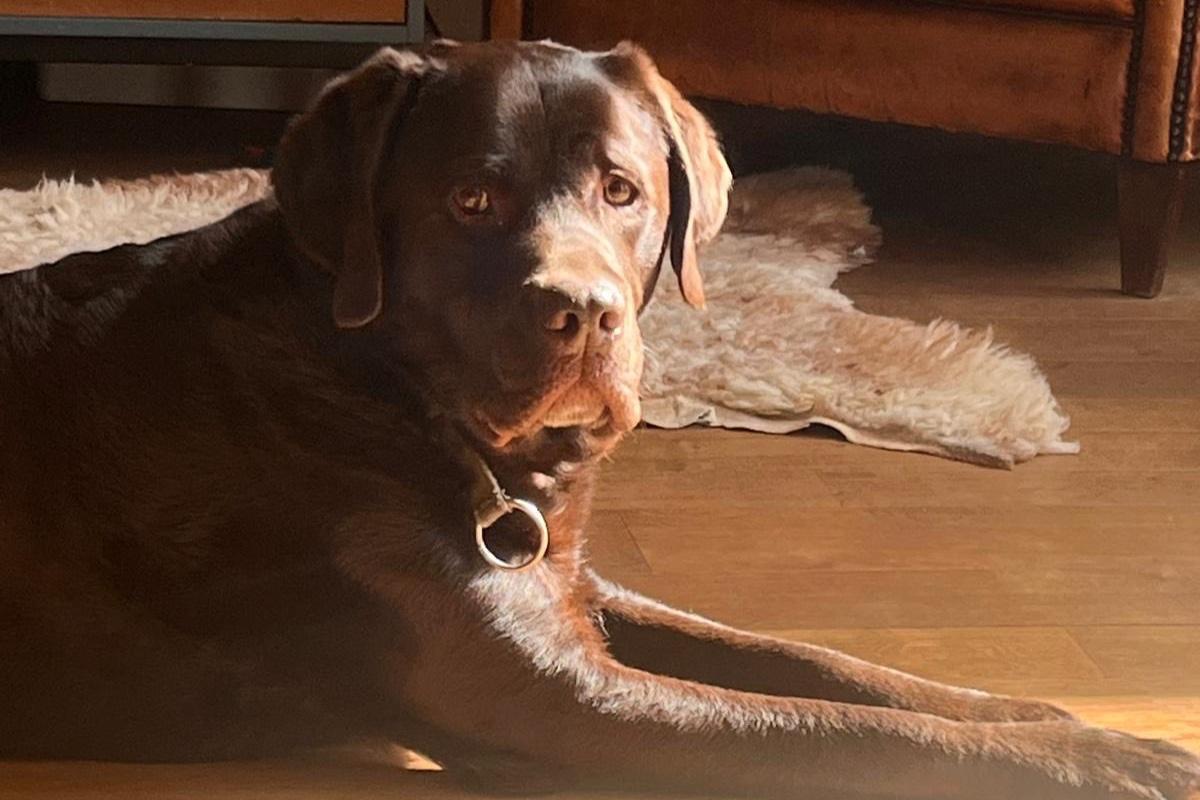 Charlie