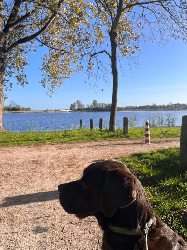 Charlie