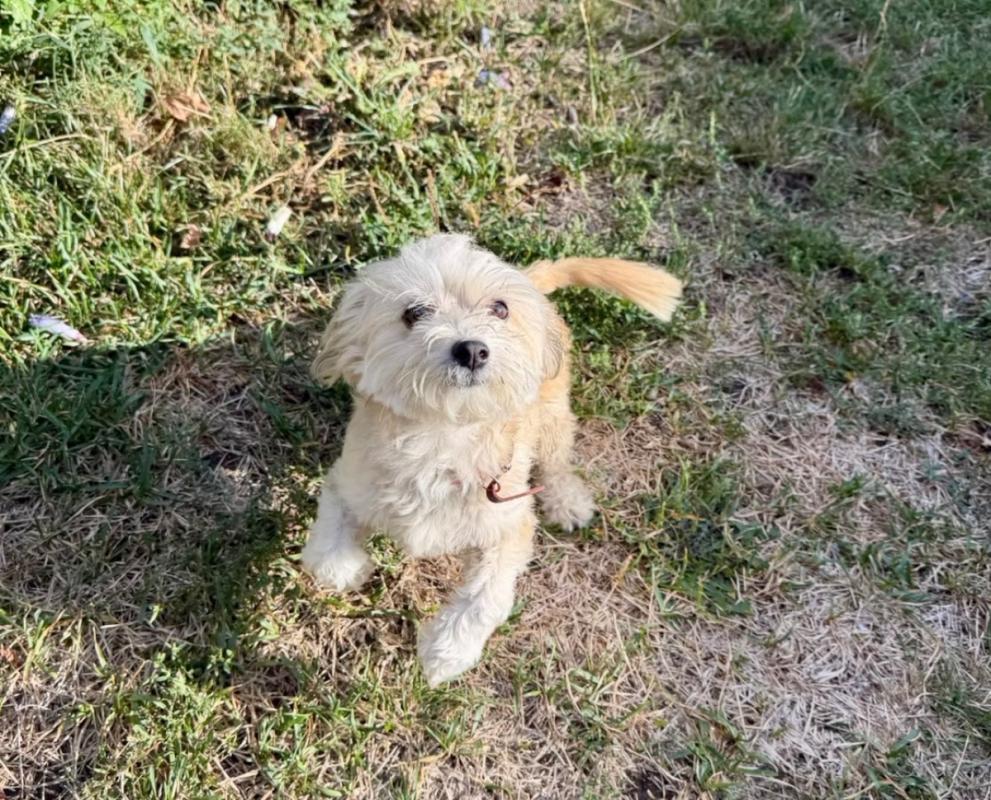 Bella