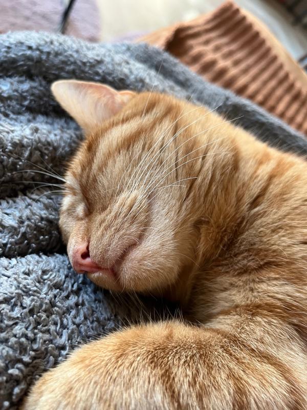 Sam