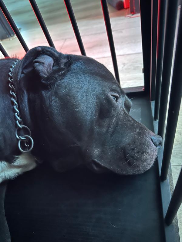 Tyson