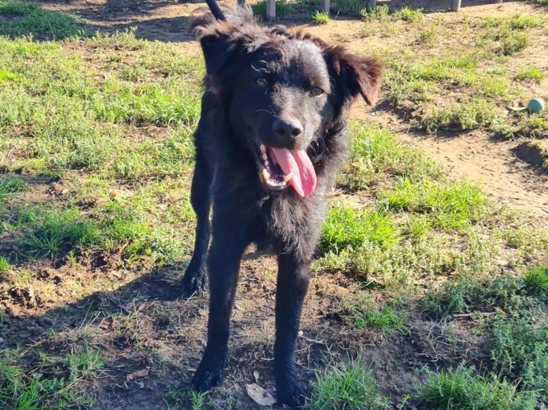 Milo