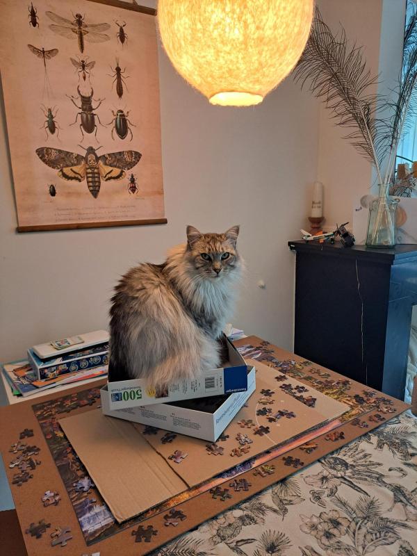 Pien