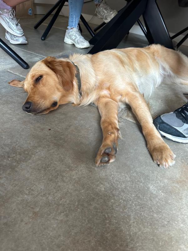 Nala