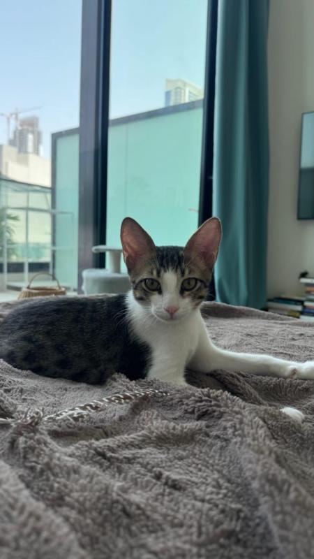 Milo