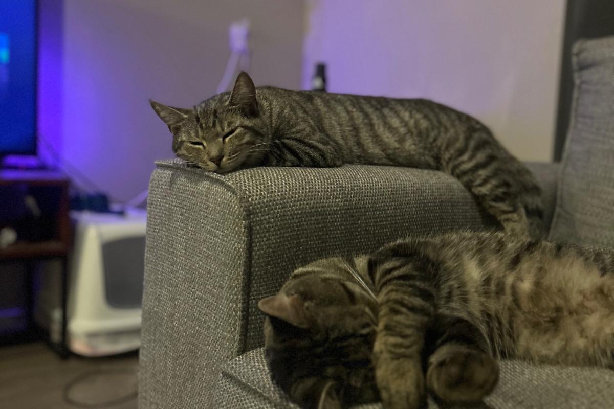 Lilo