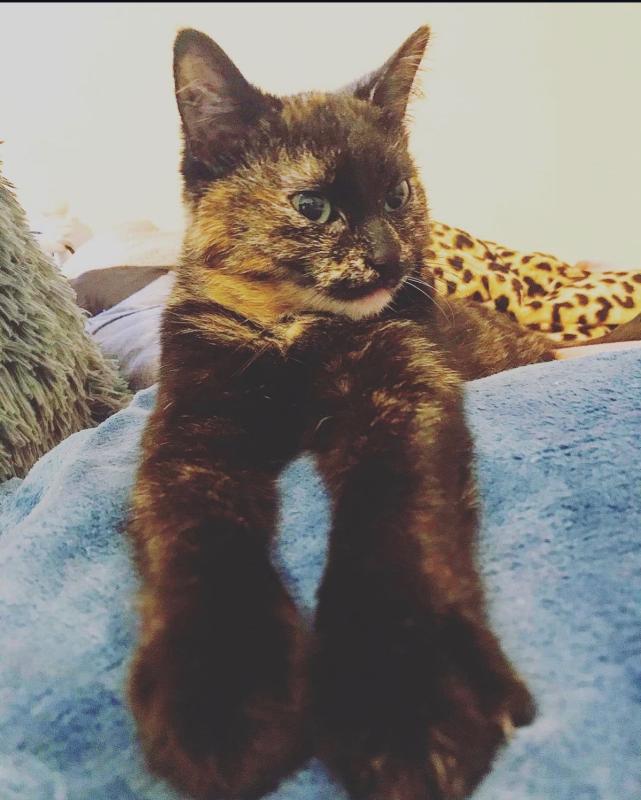 Nora