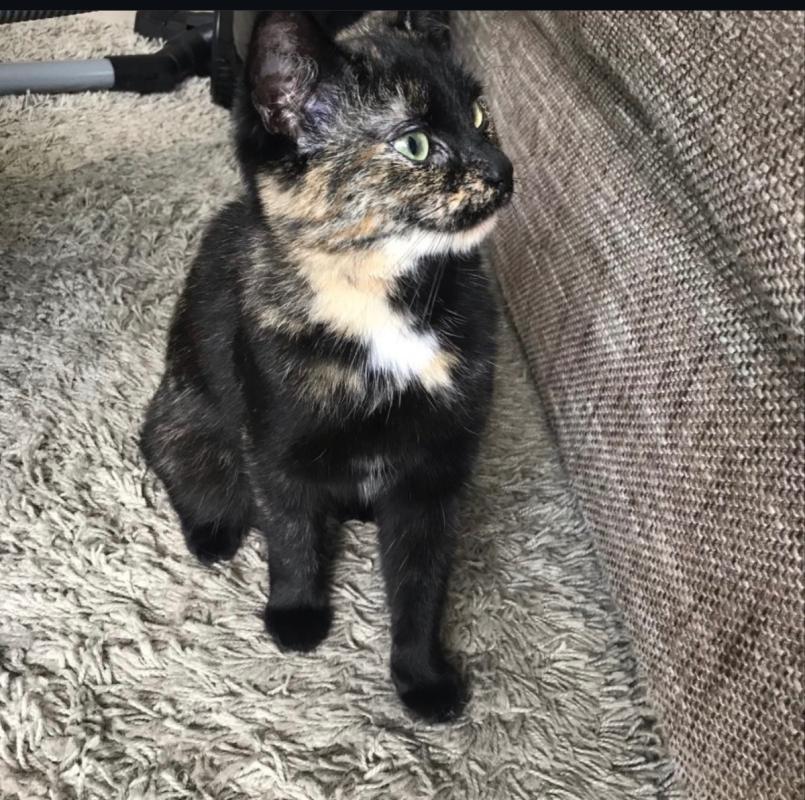 Nora