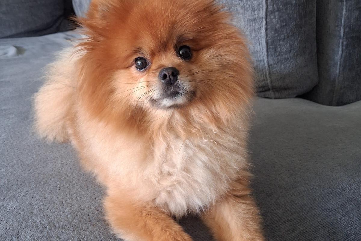 Max