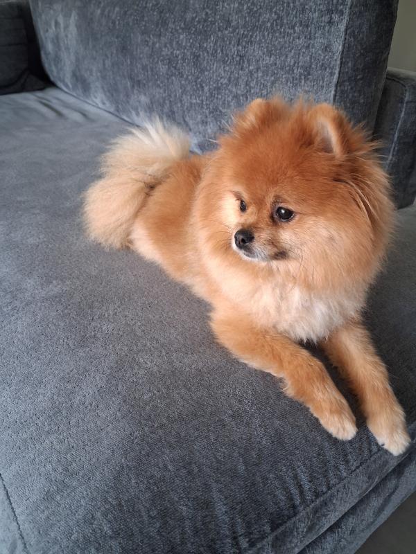 Max