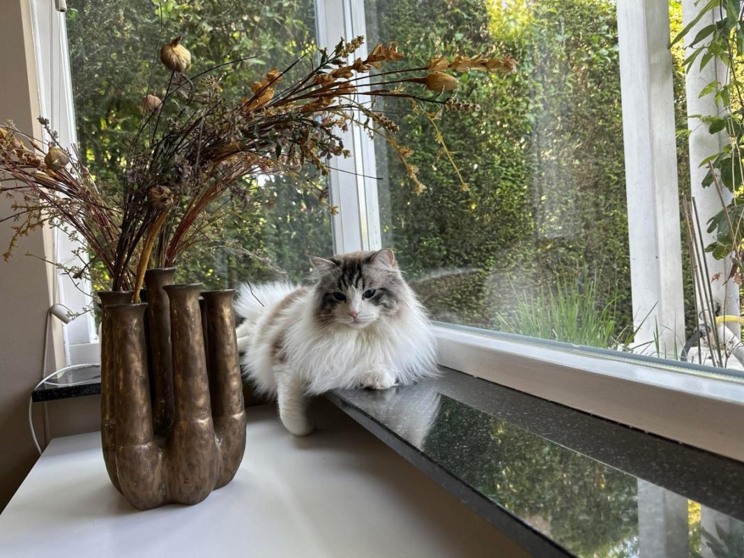 Floris